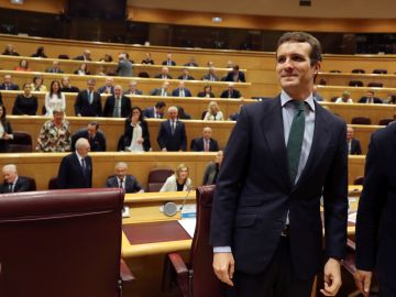 El líder del PP, Pablo Casado