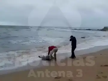 Hallan el cadáver de un hombre en la playa de Zahora Hallan el cadáver de un hombre en la playa de Zahora