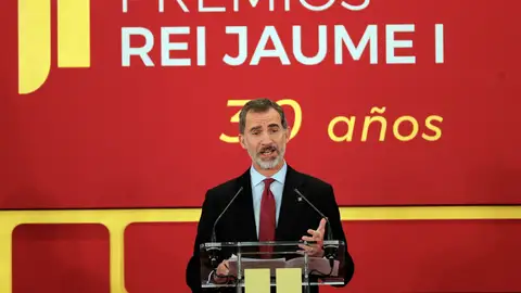 El Rey Felipe VI durante una acto en Valencia El Rey Felipe VI durante una acto en Valencia