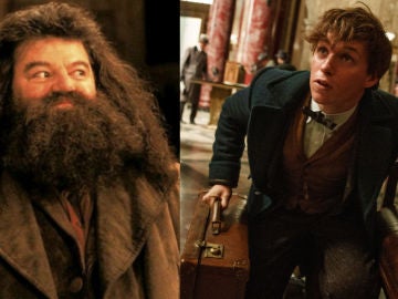 ¿Veremos juntos a Hagrid y Newt Scamander?