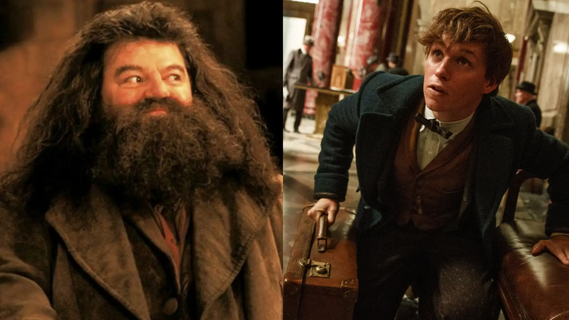 ¿Veremos juntos a Hagrid y Newt Scamander?