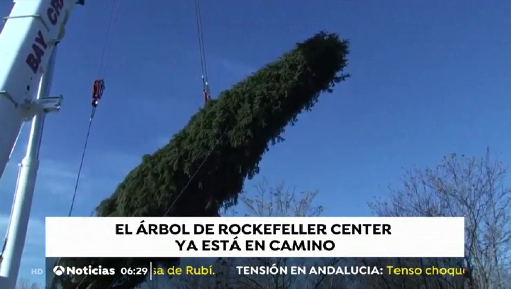 Nueva York se prepara para instalar su famoso árbol de Navidad en la plaza Rockefeller