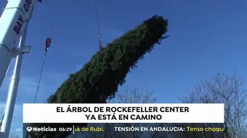 Nueva York se prepara para instalar su famoso árbol de Navidad en la plaza Rockefeller Nueva York se prepara para instalar su famoso árbol de Navidad en la plaza Rockefeller