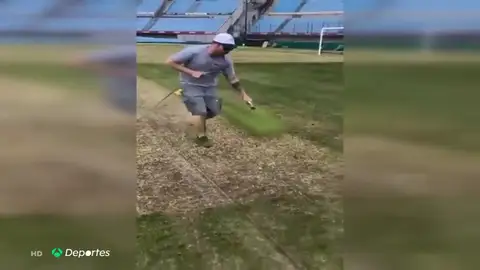 chapuza_cesped chapuza_cesped