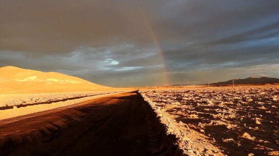 Lluvias sin precedentes arrasan la vida microbiana en el desierto de Atacama