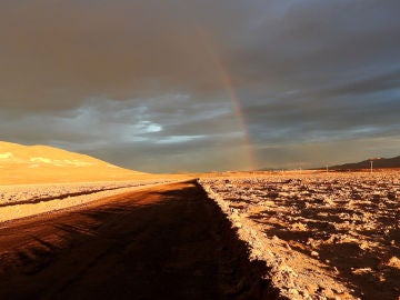 Lluvias sin precedentes arrasan la vida microbiana en el desierto de Atacama