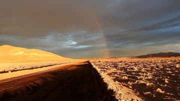 Lluvias sin precedentes arrasan la vida microbiana en el desierto de Atacama