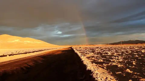 Lluvias sin precedentes arrasan la vida microbiana en el desierto de Atacama Lluvias sin precedentes arrasan la vida microbiana en el desierto de Atacama