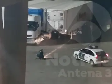 Así evita la Guardia Civil que un menor llegue a España escondido como polizón Así evita la Guardia Civil que un menor llegue a España escondido como polizón