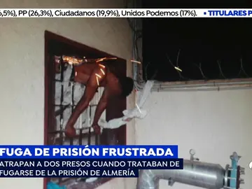 presos presos