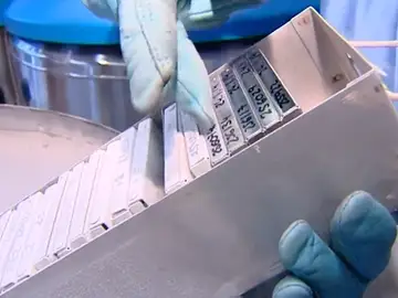 Denuncian una estafa de los bancos de ADN : sin cordón umbilical y sin dinero Denuncian una estafa de los bancos de ADN : sin cordón umbilical y sin dinero