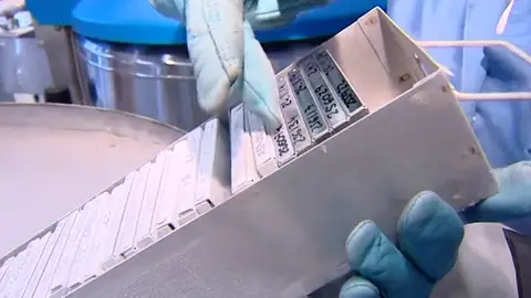 Denuncian una estafa de los bancos de ADN : sin cordón umbilical y sin dinero Denuncian una estafa de los bancos de ADN : sin cordón umbilical y sin dinero