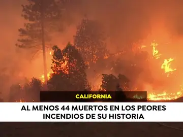 #AhoraEnElMundo, las noticias internacionales que están marcando este martes 13 de noviembre #AhoraEnElMundo, las noticias internacionales que están marcando este martes 13 de noviembre