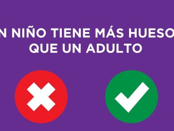Verdadero o falso Verdadero o falso