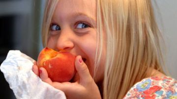 De los cuatro posibles modelos de alimentación para niños, solo uno funciona. De los cuatro posibles modelos de alimentación para niños, solo uno funciona.
