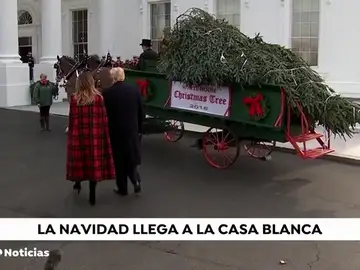 navidad navidad