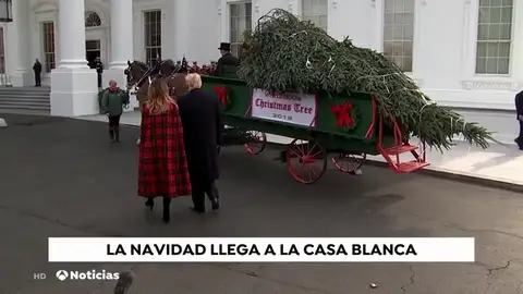 navidad navidad