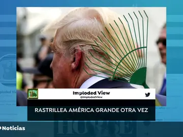 Los finlandeses se mofan de los comentarios de Donald Trump sobre la gestión de sus bosques Los finlandeses se mofan de los comentarios de Donald Trump sobre la gestión de sus bosques