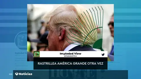 Los finlandeses se mofan de los comentarios de Donald Trump sobre la gestión de sus bosques Los finlandeses se mofan de los comentarios de Donald Trump sobre la gestión de sus bosques
