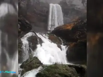 Los múltiples efectos de las persistentes lluvias en la naturaleza Los múltiples efectos de las persistentes lluvias en la naturaleza