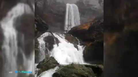 Los múltiples efectos de las persistentes lluvias en la naturaleza Los múltiples efectos de las persistentes lluvias en la naturaleza