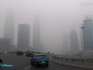 ¿Ha mejorado Madrid Central la calidad del aire?