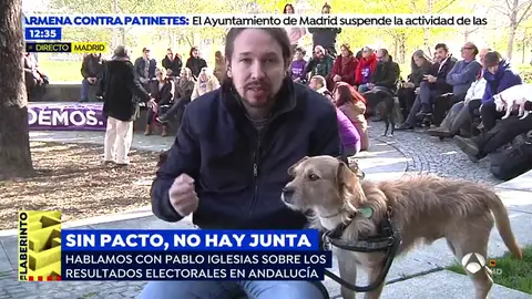 IGLESIAS IGLESIAS