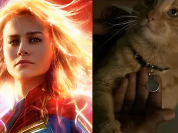 Goose, el gato de 'Capitana Marvel' Goose, el gato de 'Capitana Marvel'