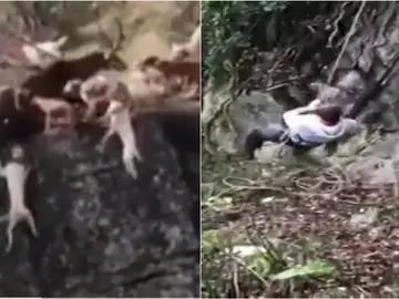 El rehalero bajó al rescate El rehalero bajó al rescate
