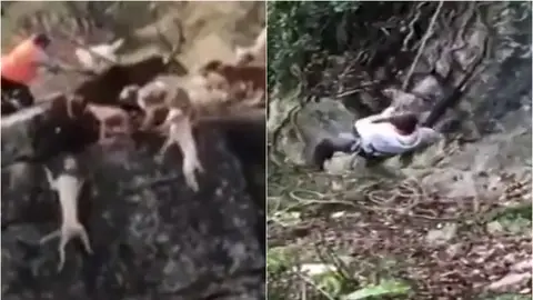 El rehalero bajó al rescate El rehalero bajó al rescate