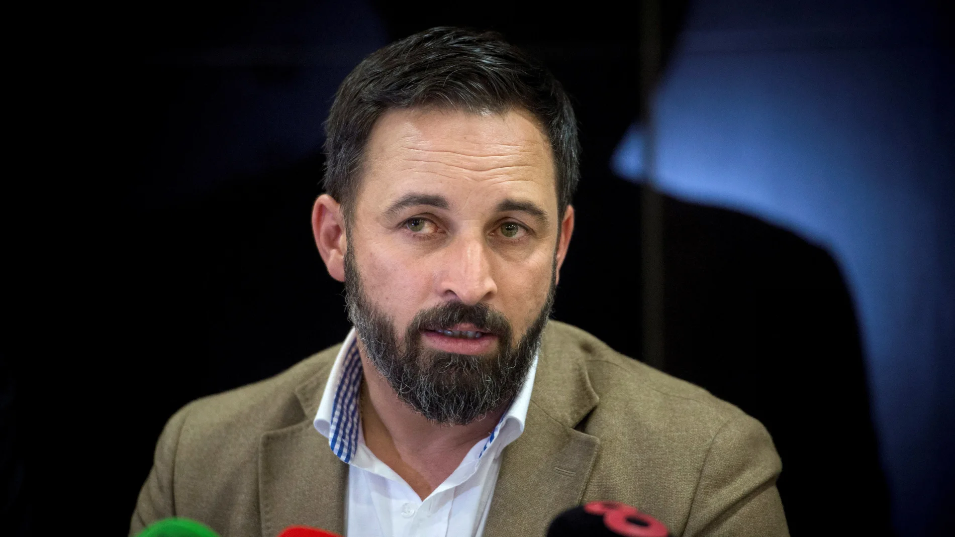 Santiago Abascal, presidente de VOX