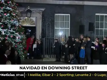 Árbol May Árbol May