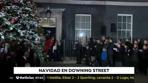 Árbol May Árbol May