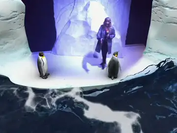 Madrid inaugura el primer acuario interactivo de Europa Madrid inaugura el primer acuario interactivo de Europa