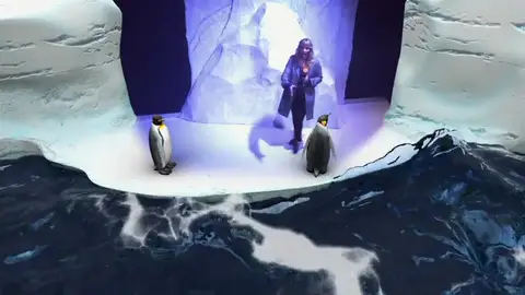 Madrid inaugura el primer acuario interactivo de Europa Madrid inaugura el primer acuario interactivo de Europa