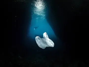 Mar de plástico Mar de plástico