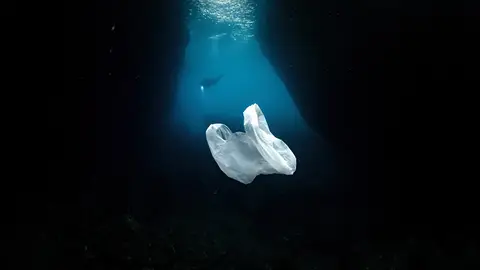 Mar de plástico Una bolsa de plástico flotando alrededor de unos buceadores