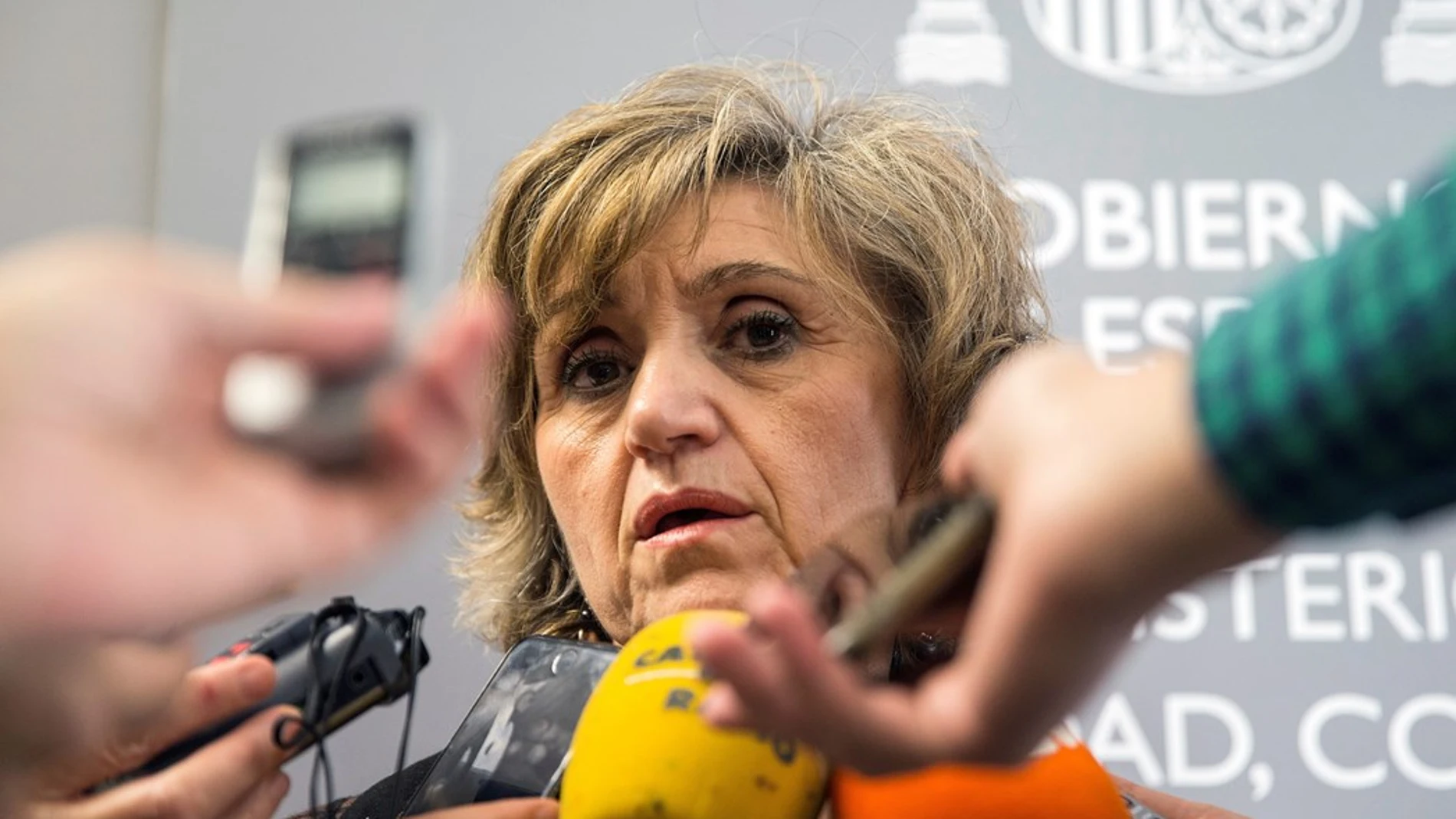 La ministra de sanidad, María Luisa Carcedo La ministra de sanidad, María Luisa Carcedo
