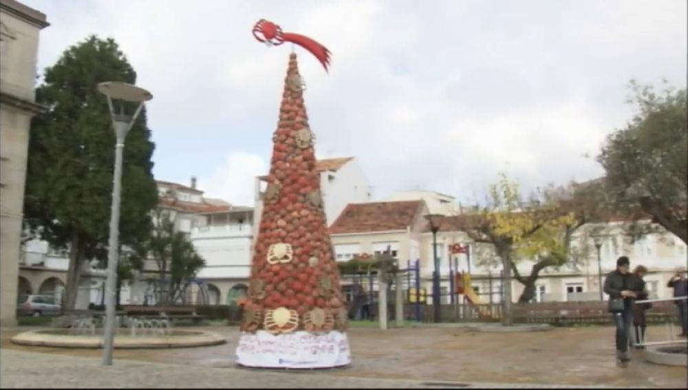 En O Grove (Pontevedra) se puede visitar un árbol de navidad hecho a base de caparazones de centolla 