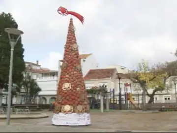 En O Grove (Pontevedra) se puede visitar un árbol de navidad hecho a base de caparazones de centolla En O Grove (Pontevedra) se puede visitar un árbol de navidad hecho a base de caparazones de centolla