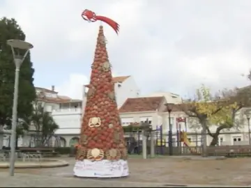 En O Grove (Pontevedra) se puede visitar un árbol de navidad hecho a base de caparazones de centolla En O Grove (Pontevedra) se puede visitar un árbol de navidad hecho a base de caparazones de centolla