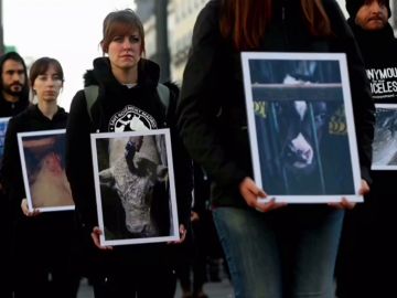 Manifestación por el maltrato animal en los mataderos frente a la Puerta del Sol 