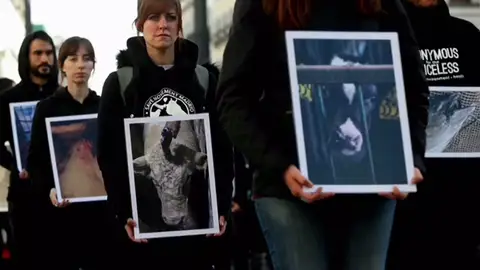 Manifestación por el maltrato animal en los mataderos frente a la Puerta del Sol Manifestación por el maltrato animal en los mataderos frente a la Puerta del Sol