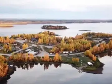 Moose Cree Moose Cree