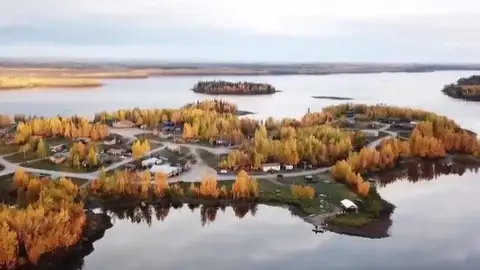 Moose Cree Moose Cree