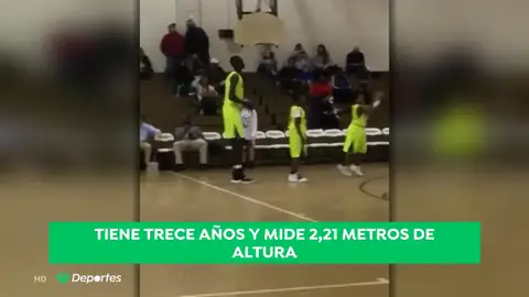 basket_a3d basket_a3d