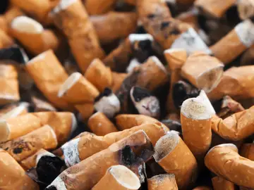 Colillas de cigarrillos Colillas de cigarrillos