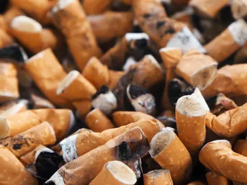 Colillas de cigarrillos Colillas de cigarrillos