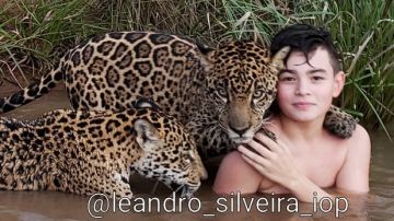 La imagen viral de un niño junto a dos jaguares