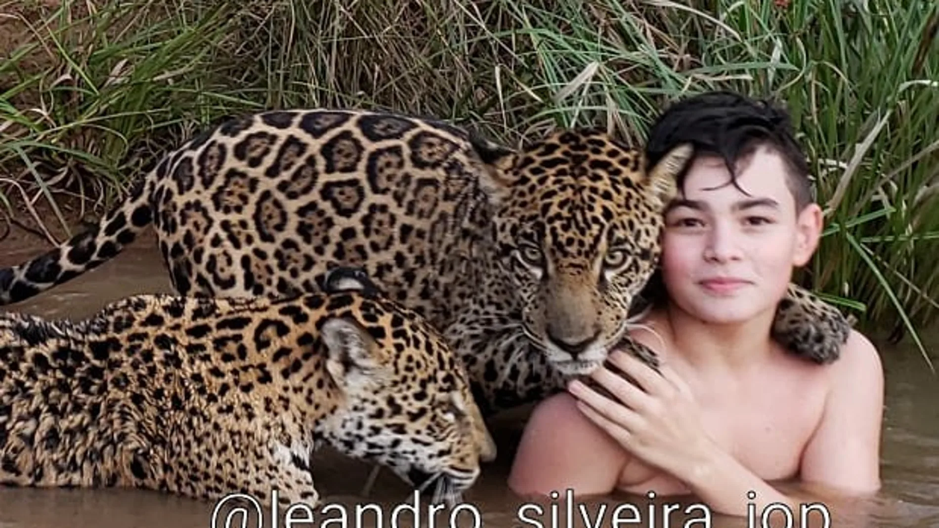 La imagen viral de un niño junto a dos jaguares La imagen viral de un niño junto a dos jaguares